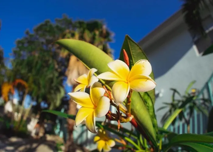 2bd 1ba Sunset 4 3mins To Beach!